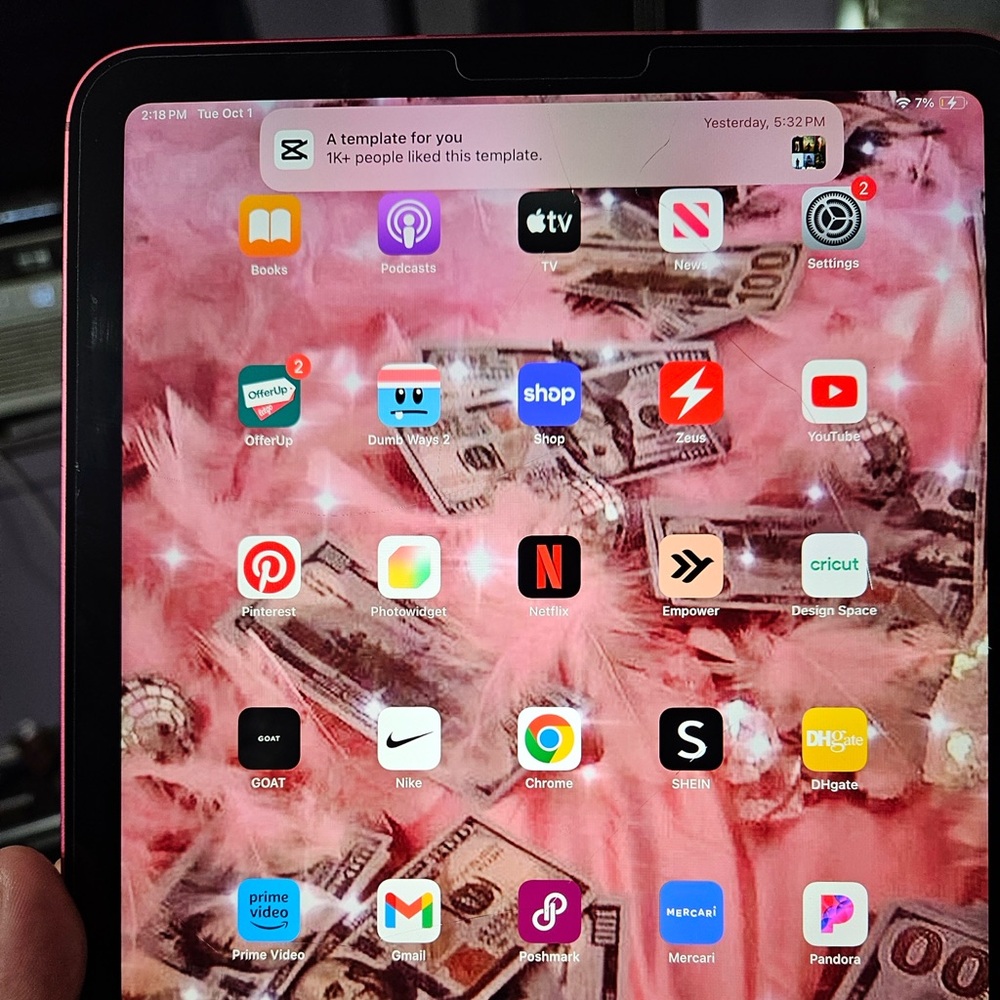 iPad pink generation 10